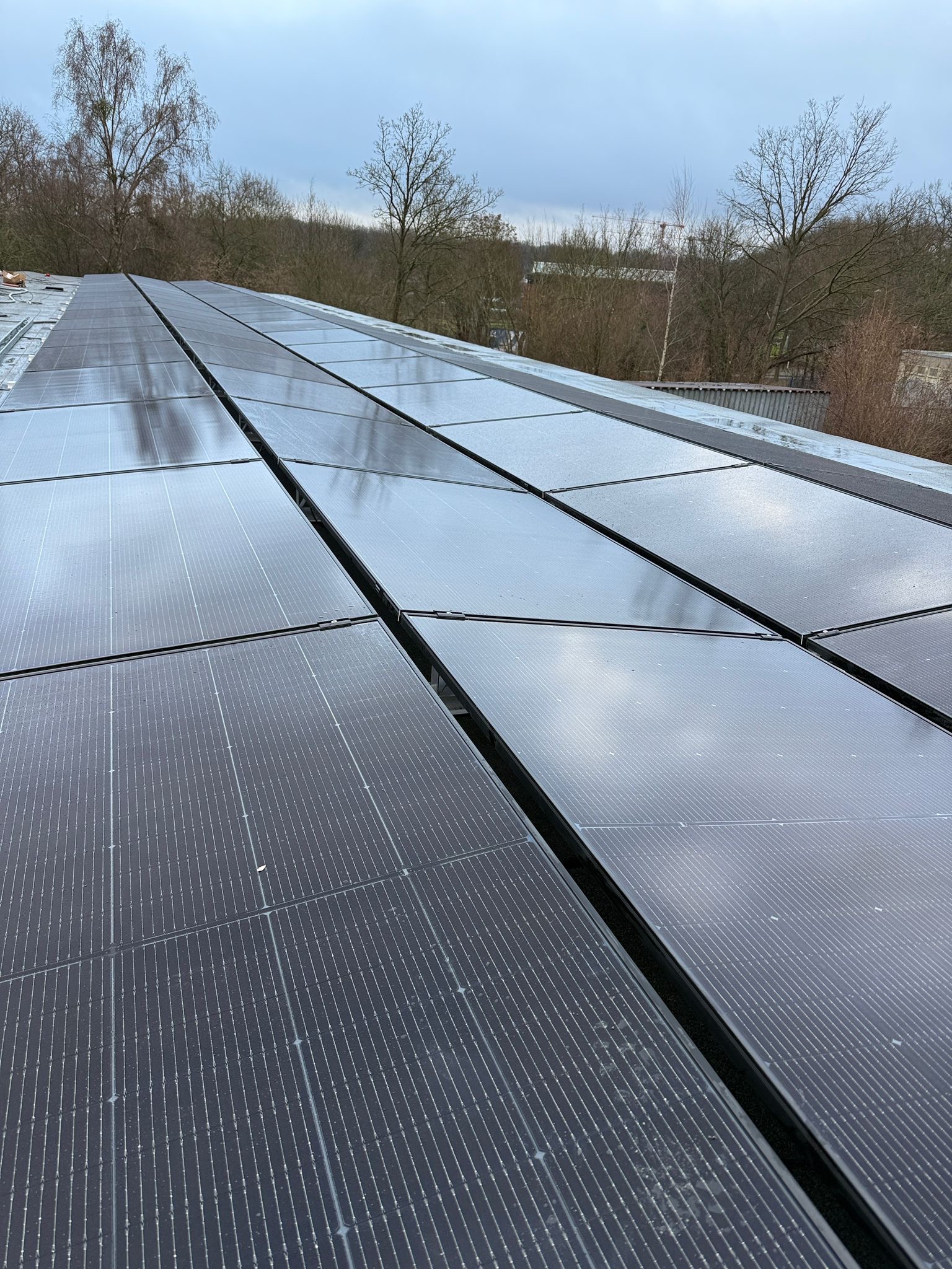 Solarmodule auf Flachdach Detailaufnahme